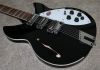 2016_Rickenbacker_1993_Plus.jpg