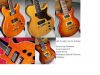 Hamer_Guitars_Group_Shot~0.jpg