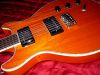 Hamer_special_fr4.jpg