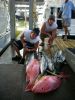 2007_fishing_trip_060.JPG